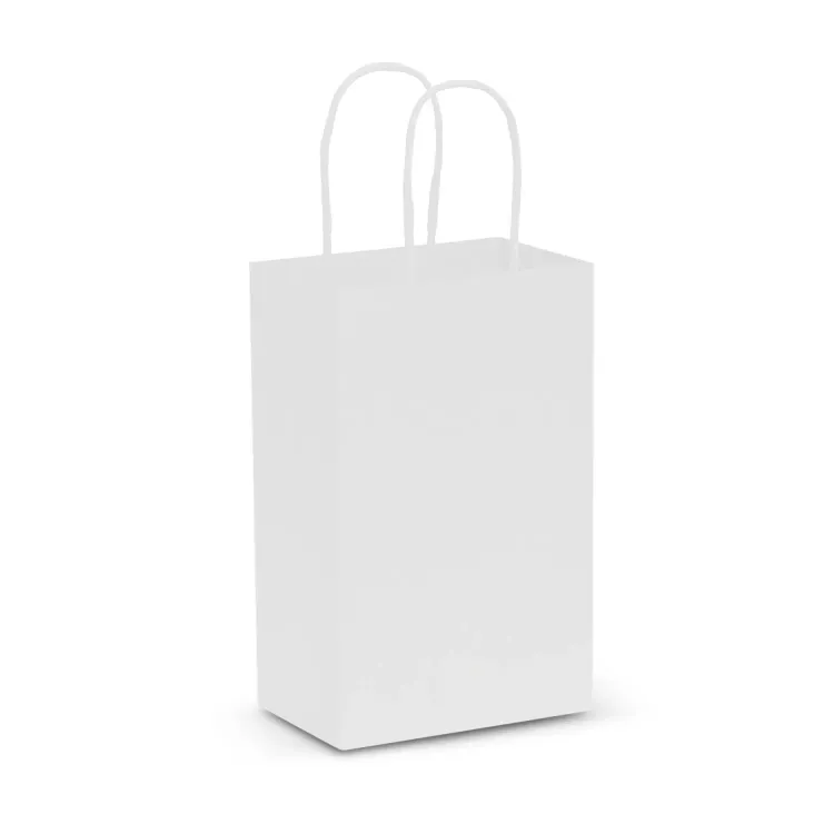 Paper Carry Bag - Small
