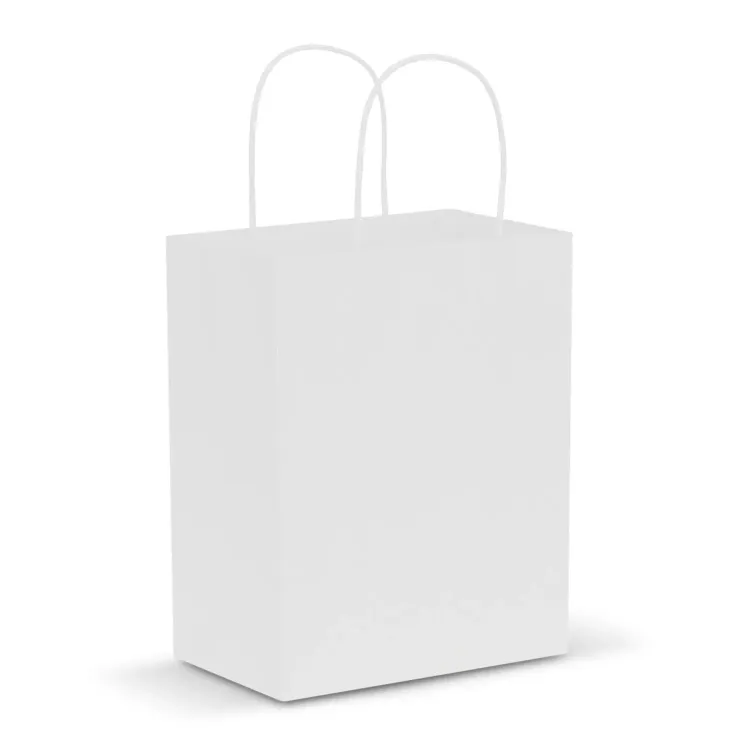 Paper Carry Bag - Medium