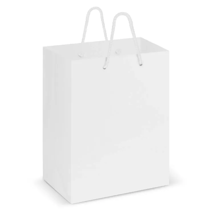 Laminated Carry Bag - Medium