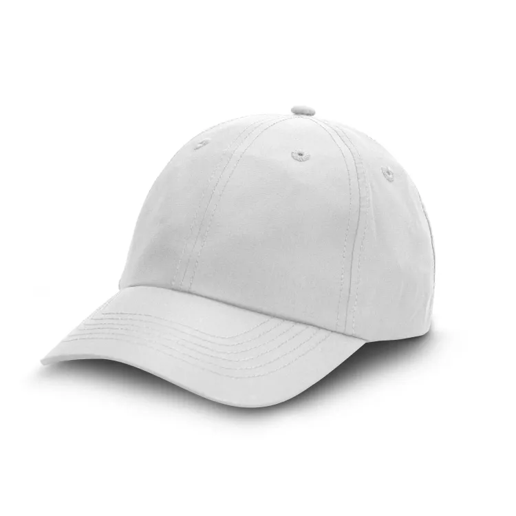 Lane Recycled Cap