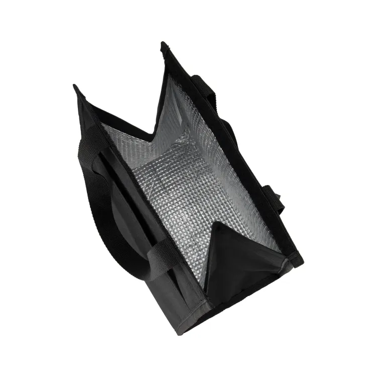Apex Cooler Bag - Inside Black