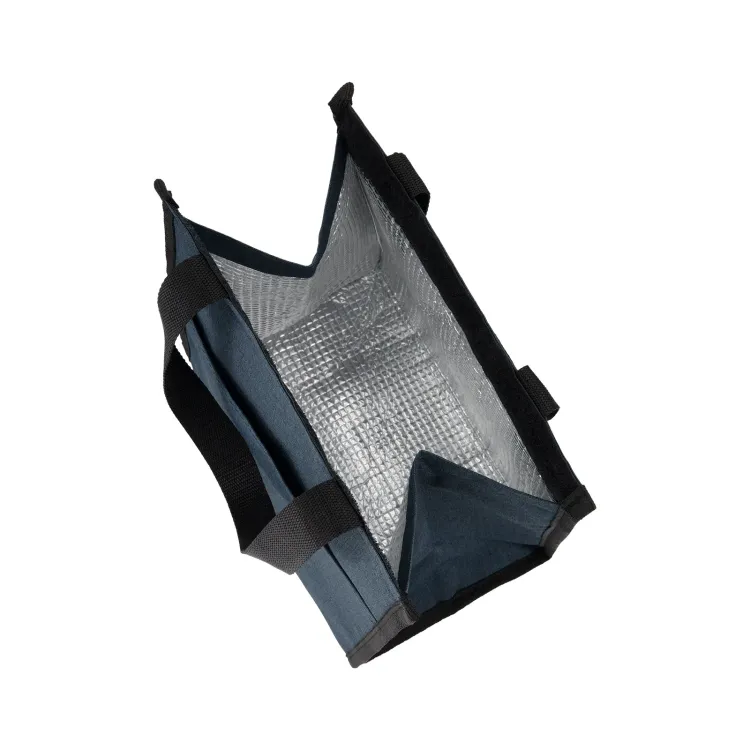 Apex Cooler Bag - Inside Navy Blue