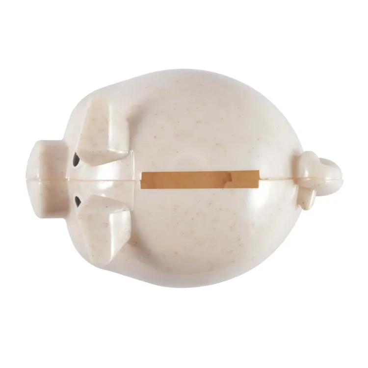 World's Smallest Pig Eco Coin Bank - Above