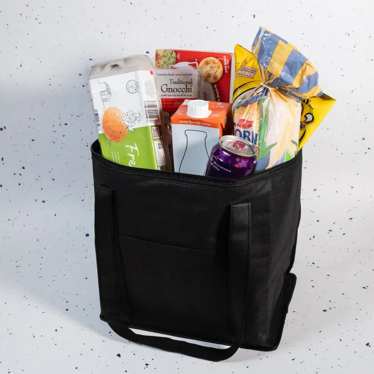 Tundra Cooler / Shopping Bag - Lifestyle 1