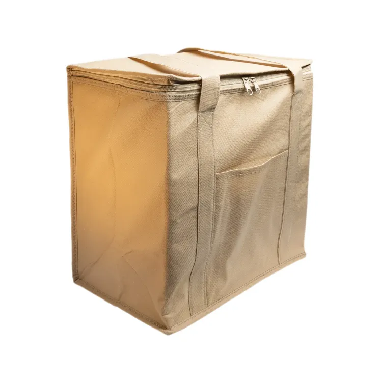 Tundra Cooler / Shopping Bag - Natural 2