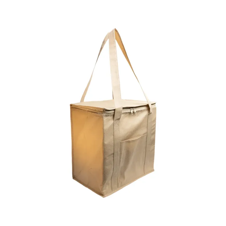 Tundra Cooler / Shopping Bag - Natural