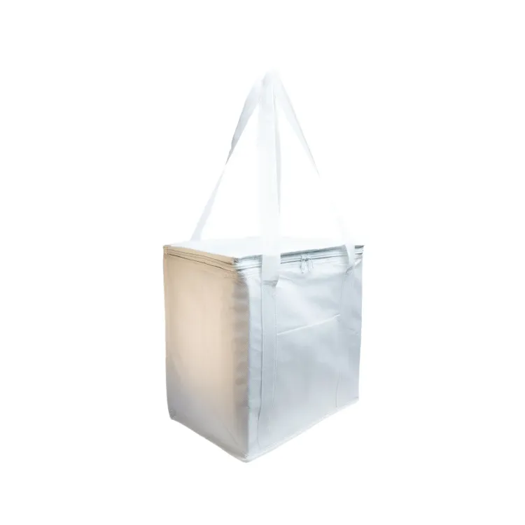 Tundra Cooler / Shopping Bag - White