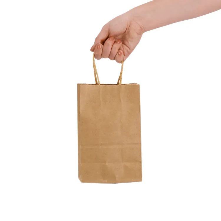 Express Paper Bag Small  - Lifestyle 1