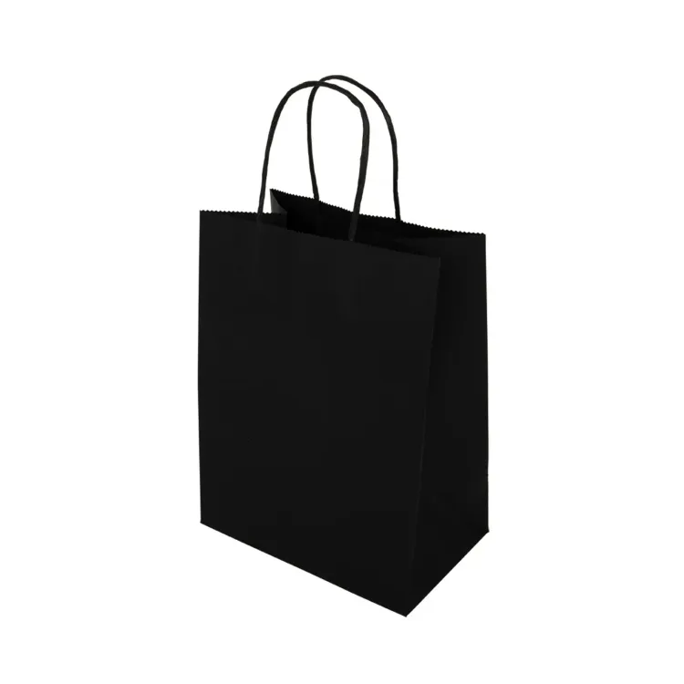 Express Paper Bag Medium  - Black