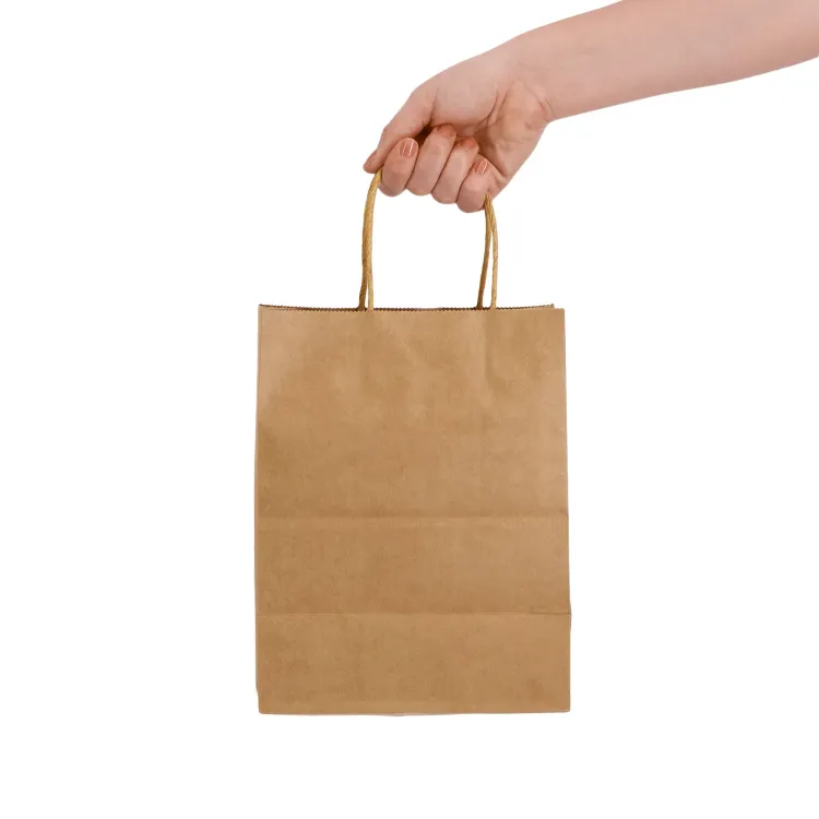 Express Paper Bag Medium  - Lifestyle 1