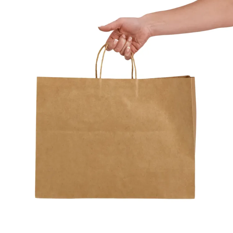 Express Paper Bag Extra Large - Lifestyle 1