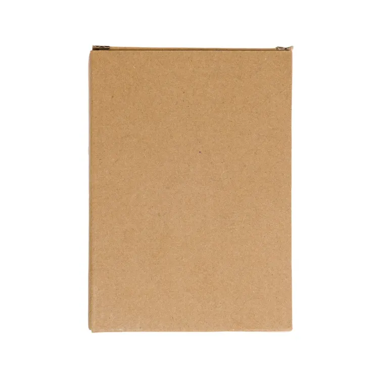 Weather Station - Kraft Box