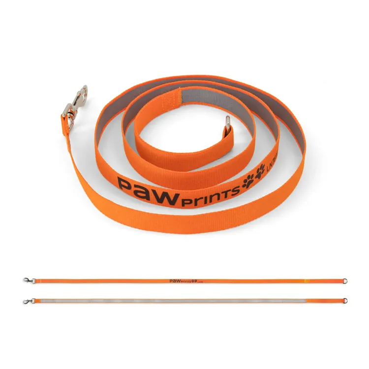 Printed Dog Lead - Printed Dog Lead