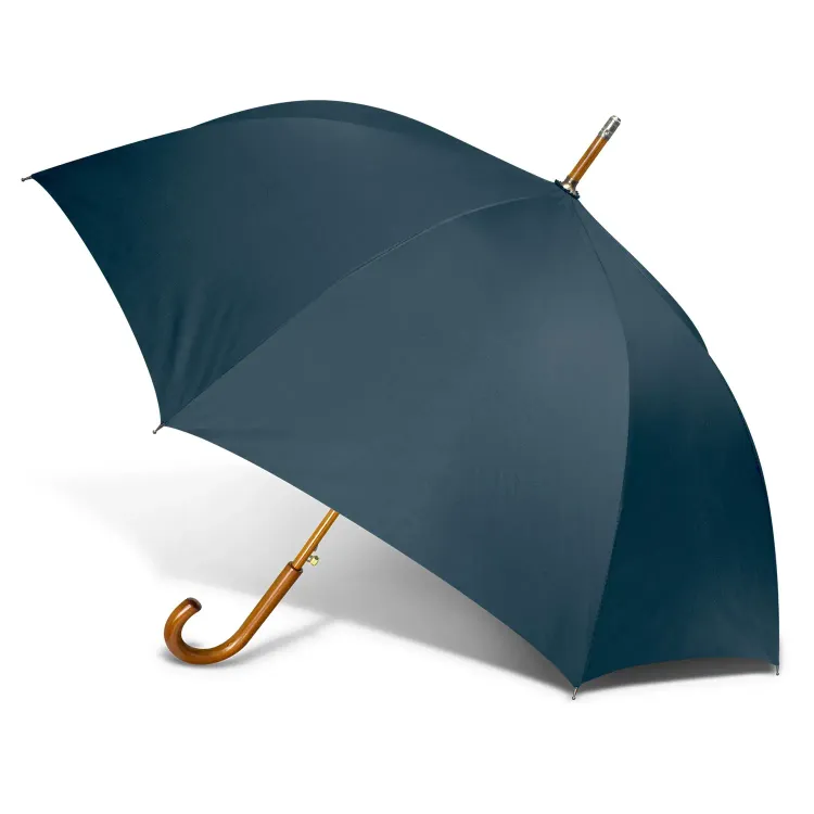 Boutique umbrella in navy with wooden hook handle, open profile view