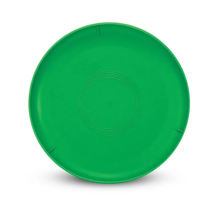 Aero Flyer - Small — Back