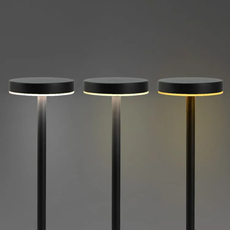 Nouveau Rechargeable Table Lamp — Detail