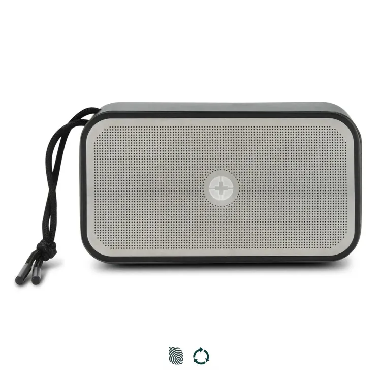 Swiss Peak 10W Bass Speaker — Impact Aware