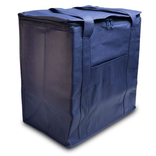 Tundra Cooler / Shopping Bag