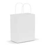 Paper Carry Bag - Medium