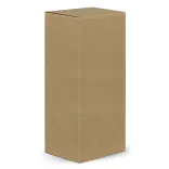 Wooden Brain Teaser Set