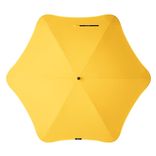 Exec_top_down_Citrus_Yellow.jpg