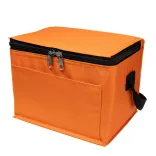 Alpine Cooler Bag - Orange