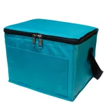 Alpine Cooler Bag - Teal