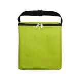 Subzero Cooler Bag - Light Green