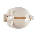 World's Smallest Pig Eco Coin Bank - Above