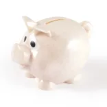 World's Smallest Pig Eco Coin Bank - Angle