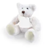 Frosty Plush Teddy Bear - White