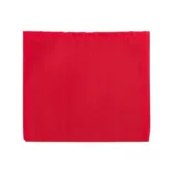 Savvy Recycled PET Bag - Red Pouch