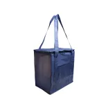 Tundra Cooler / Shopping Bag - Navy Blue