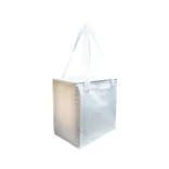 Tundra Cooler / Shopping Bag - White