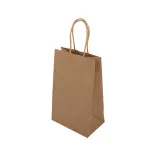 Express Paper Bag Small  - Natural