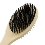 Pet Grooming Brush - Close Up Bristles