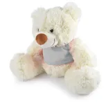 Coconut Plush Teddy Bear - Grey