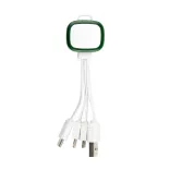 Family Light Up  3 in 1 Cable  - White/Green