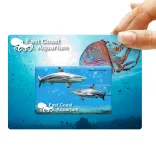 Credit Card Flash Drive  - Backing Card
