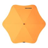blunt-classic-front-mango-orange.jpg