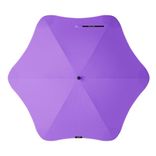 blunt-classic-front-violet-purple.jpg