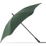 blunt-classic-side-forest-green.jpg