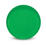 Aero Flyer - Small — Back
