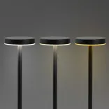 Nouveau Rechargeable Table Lamp — Detail