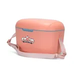 Daisy Cooler — Branding